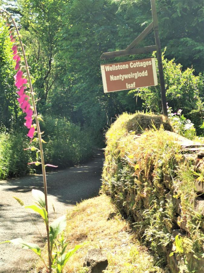Wellstone Cottages - Honey Coach House Llanfyrnach Kültér fotó