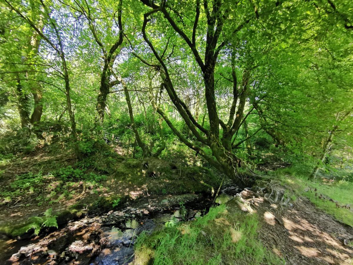 Wellstone Cottages - Honey Coach House Llanfyrnach Kültér fotó